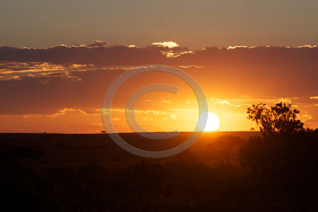 Sonnenuntergang im Masai Mara