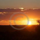 Sonnenuntergang im Masai Mara