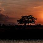 Sonnenuntergang im Mikumi Nat. Park/Tanzania