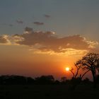 Sonnenuntergang im Mikumi Nationalpark, Tansania