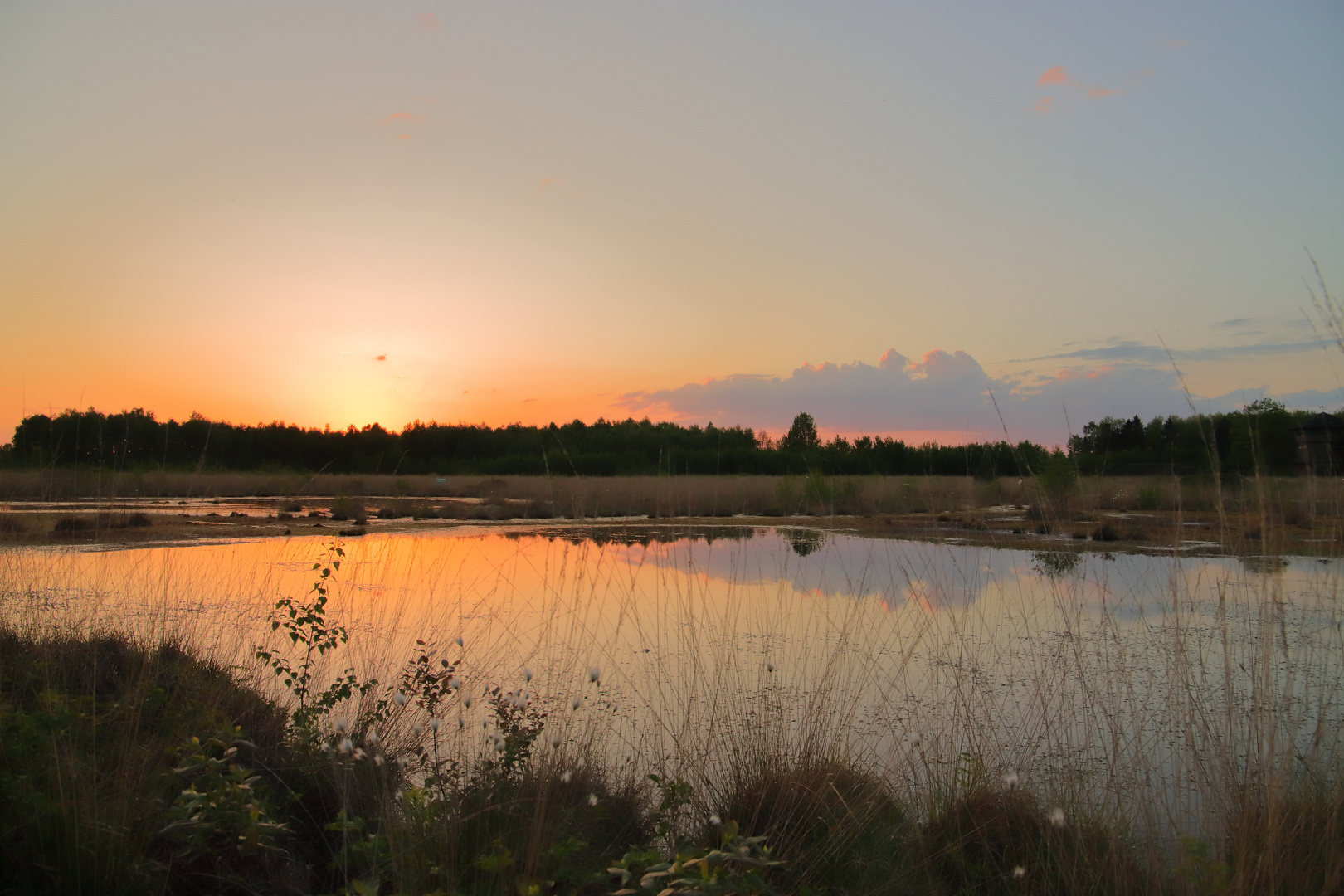 Sonnenuntergang im Moor