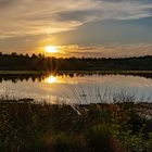 Sonnenuntergang im Moor