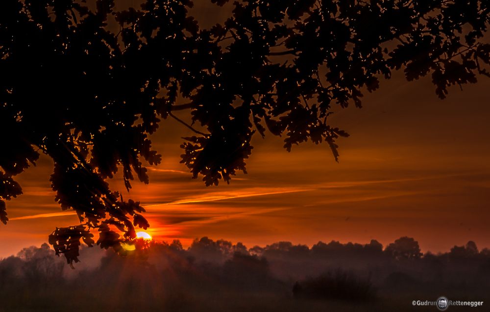 Sonnenuntergang im Moor 2