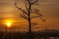 Sonnenuntergang im Moor