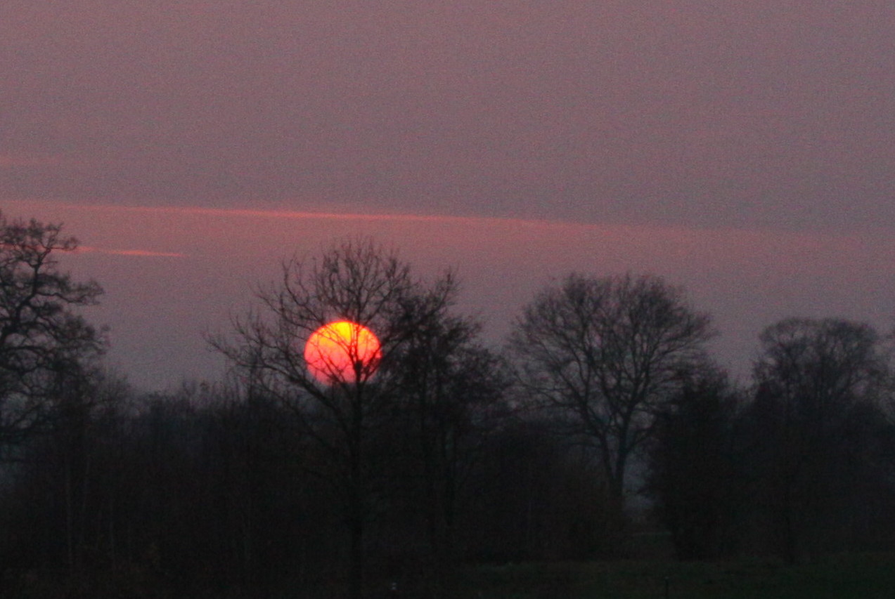 sonnenuntergang im moor