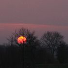 sonnenuntergang im moor