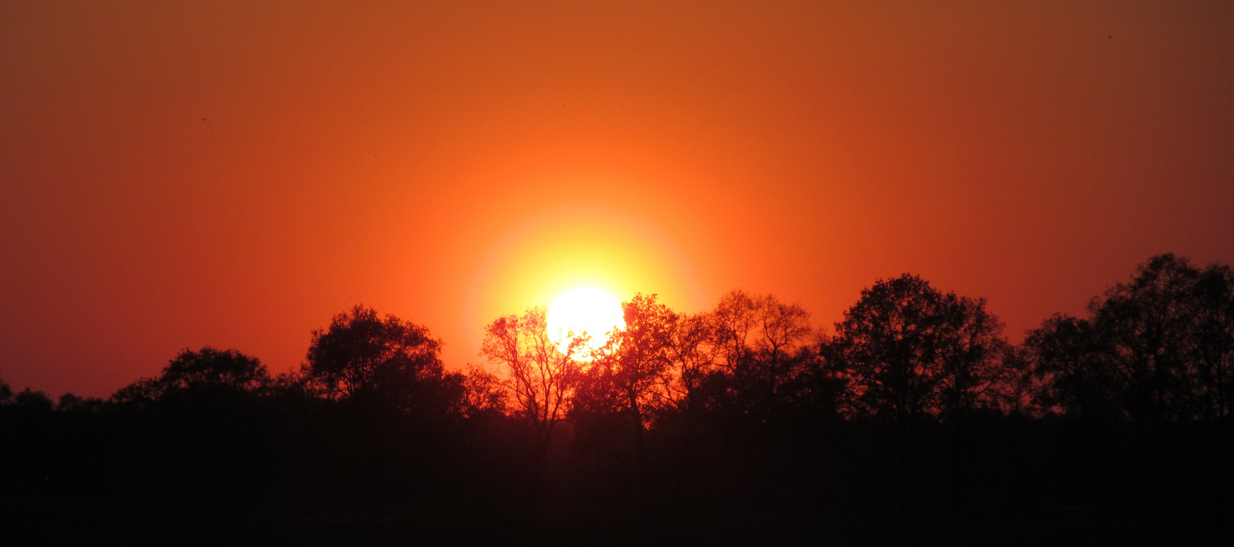 Sonnenuntergang im Moor 