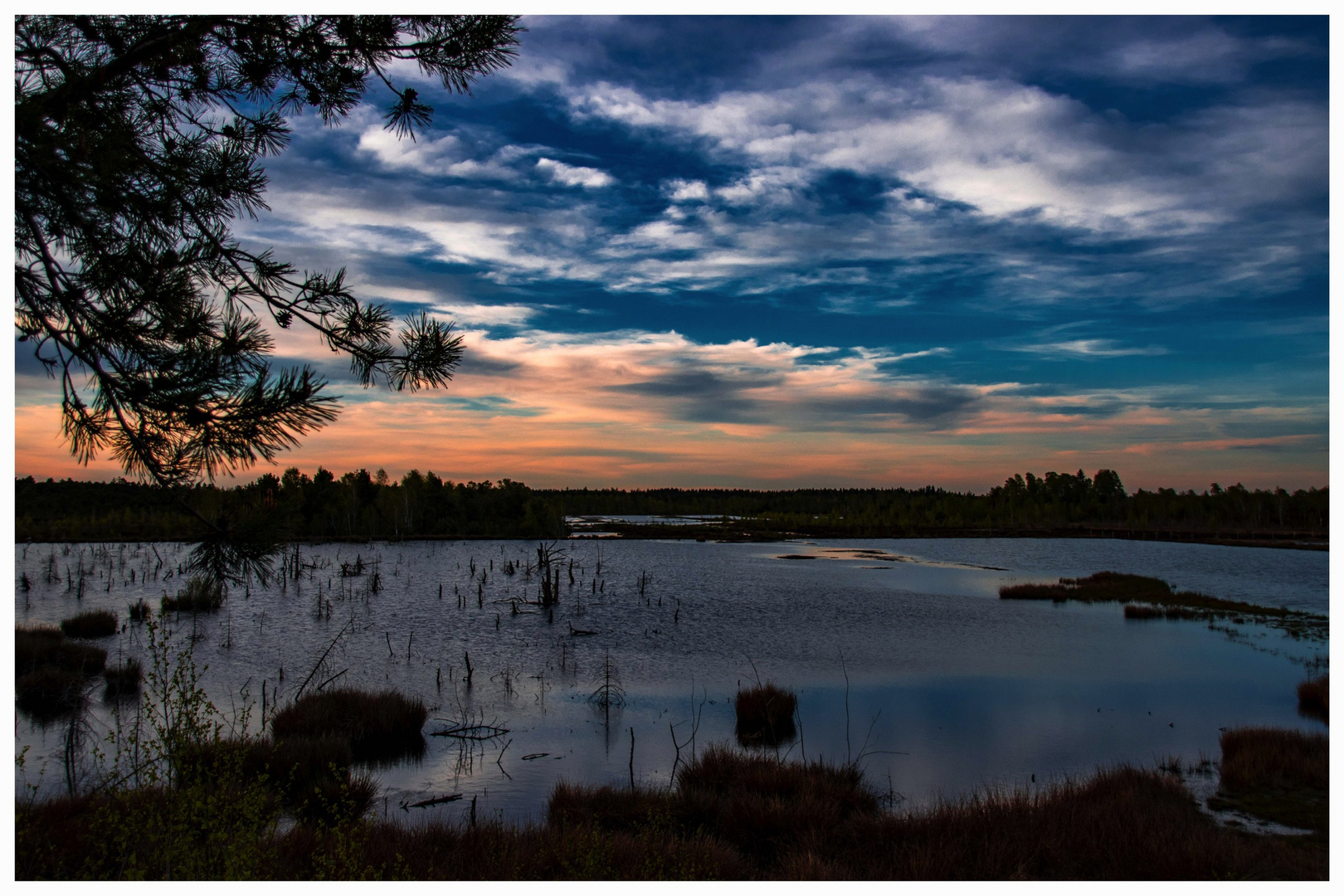 Sonnenuntergang im Moor