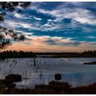 Sonnenuntergang im Moor