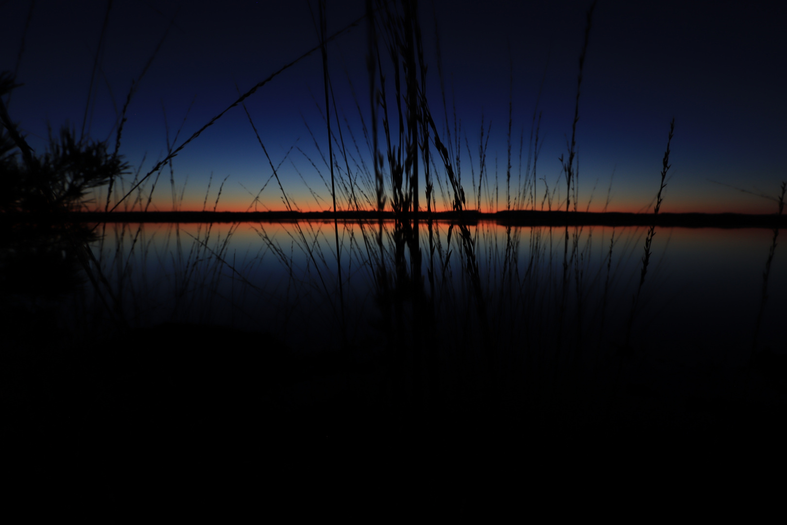 Sonnenuntergang im Moor