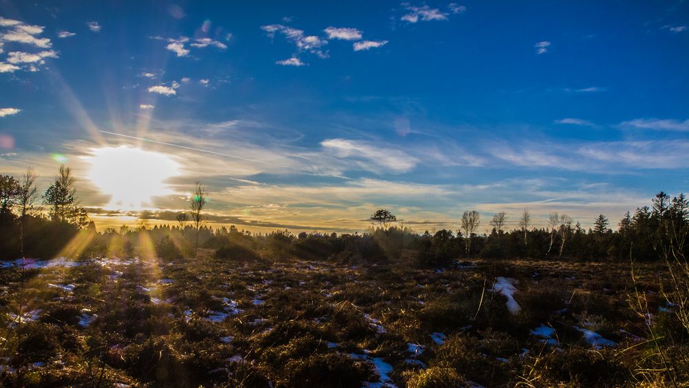 Sonnenuntergang im Moor