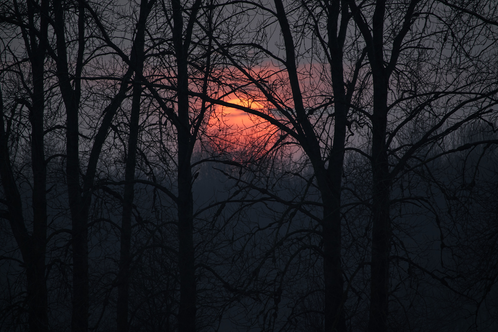 Sonnenuntergang im Moor