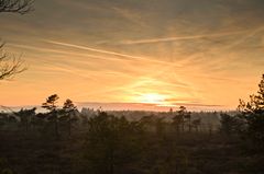 Sonnenuntergang im Moor.