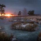 Sonnenuntergang im Moor