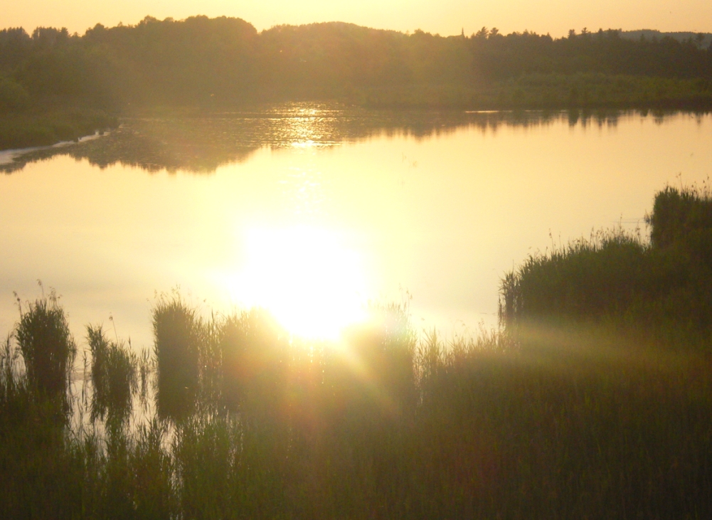 Sonnenuntergang im Moor