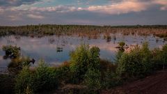 Sonnenuntergang im Moor