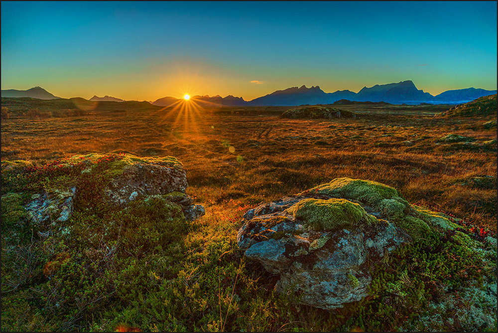 Sonnenuntergang im Moor