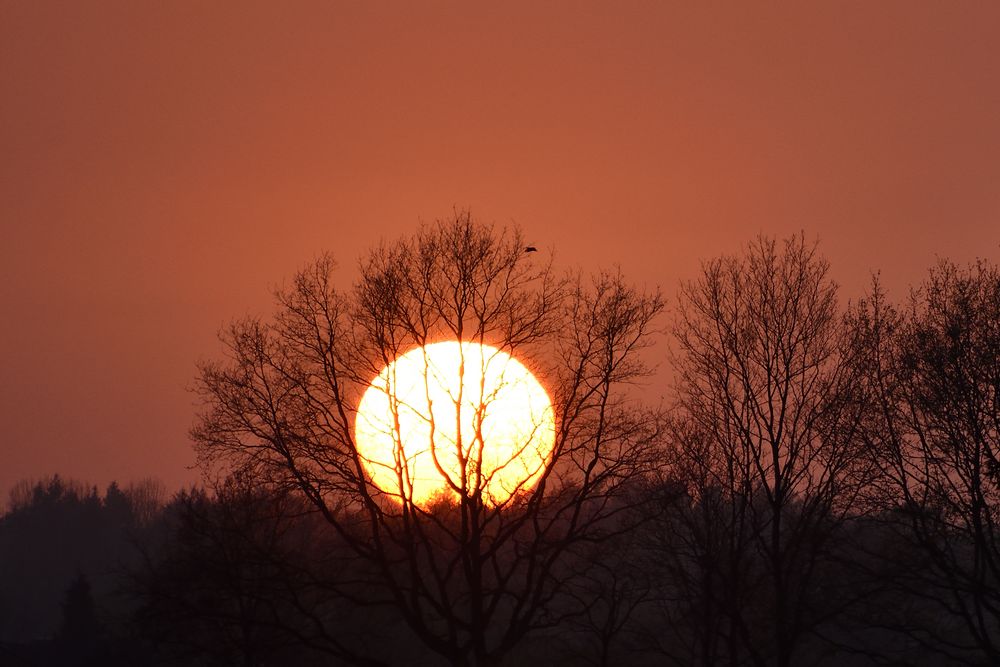 Sonnenuntergang im Moor