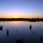 Sonnenuntergang im Moor