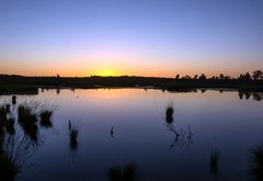 Sonnenuntergang im Moor