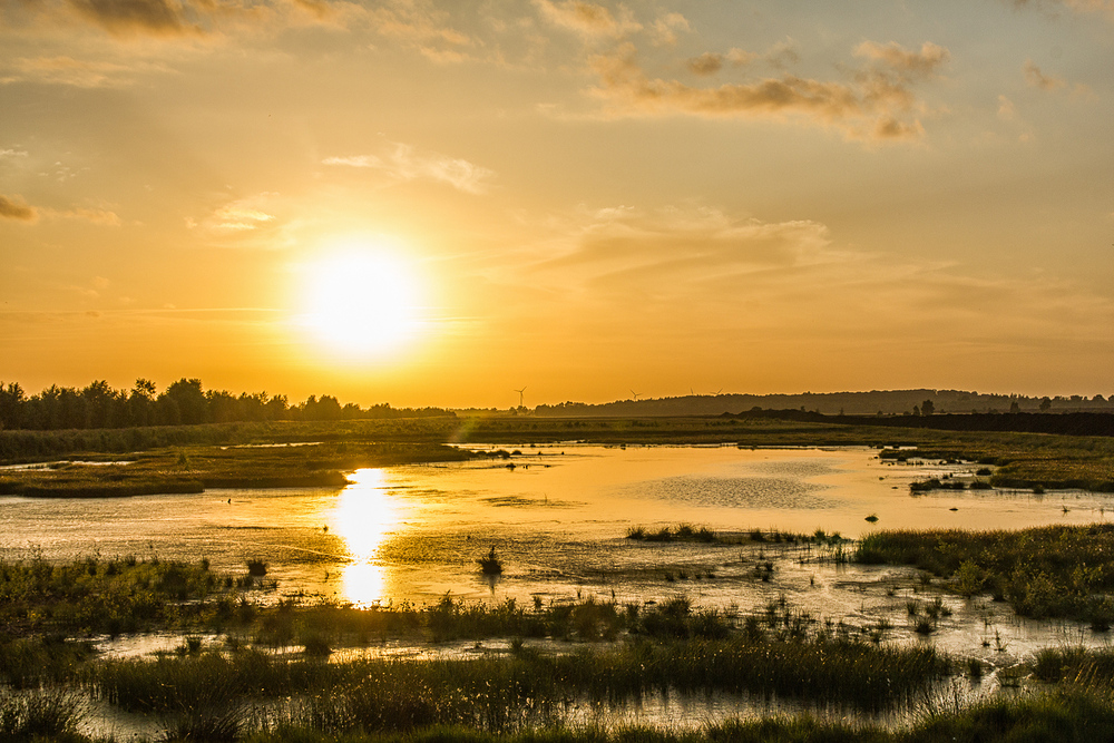 Sonnenuntergang im Moor