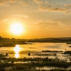 Sonnenuntergang im Moor