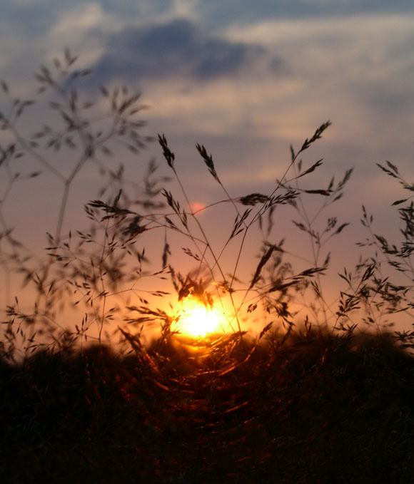 Sonnenuntergang im Moor