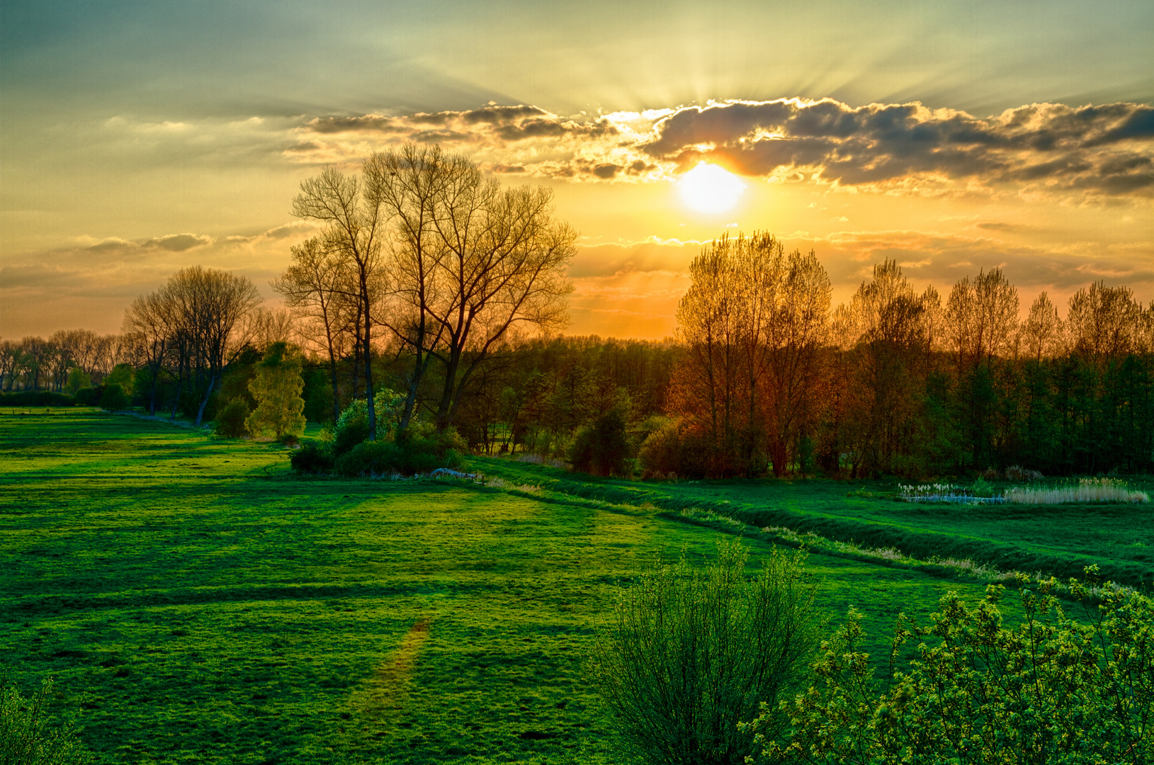 Sonnenuntergang im Moor Nettelstedt (HDR)