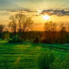 Sonnenuntergang im Moor Nettelstedt (HDR)