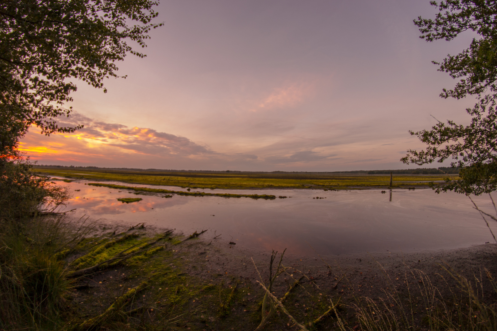 Sonnenuntergang im Moor Twist 