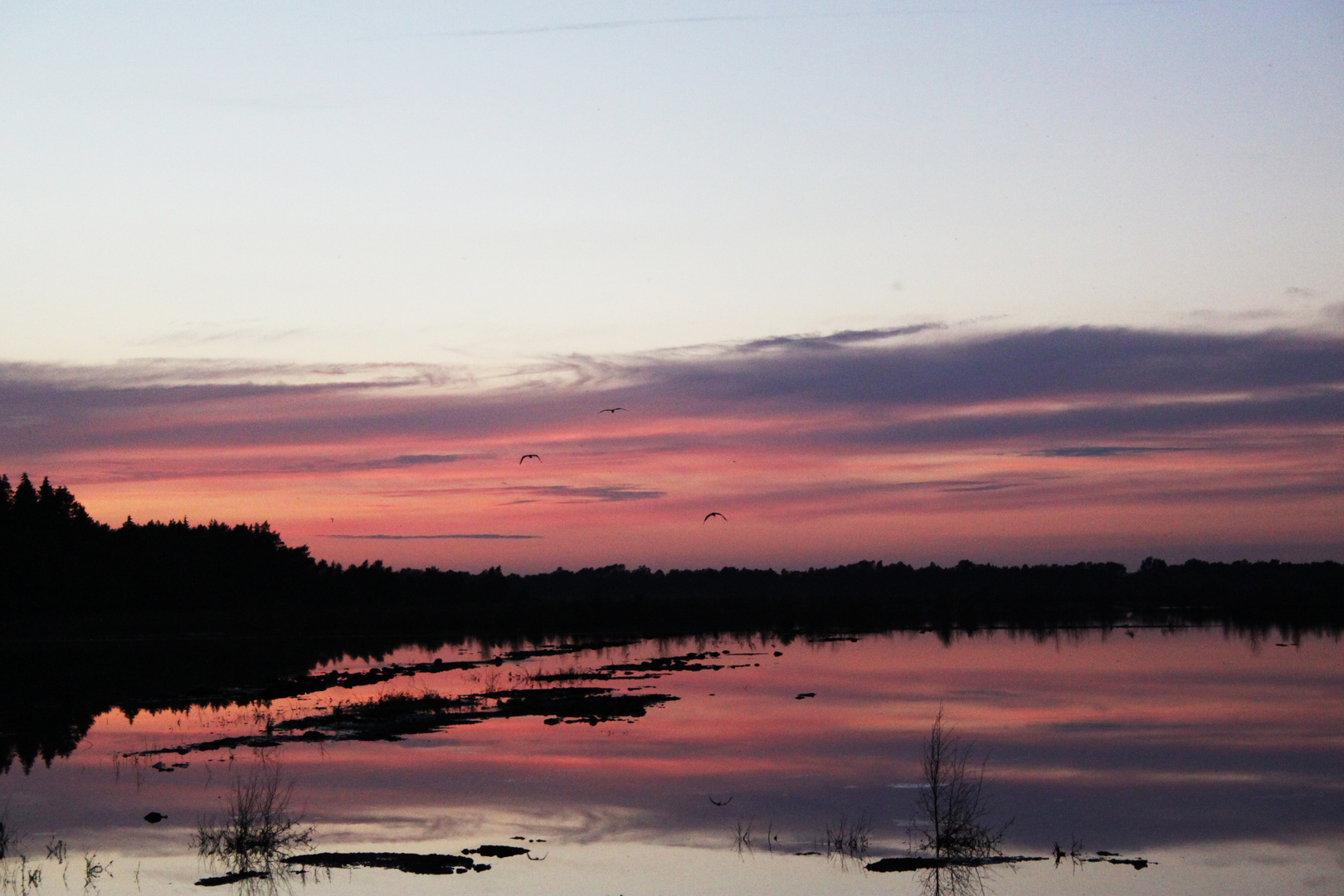 Sonnenuntergang im Moor von Westerhorn