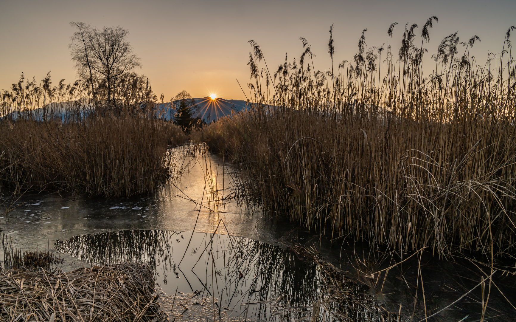 Sonnenuntergang im Moos