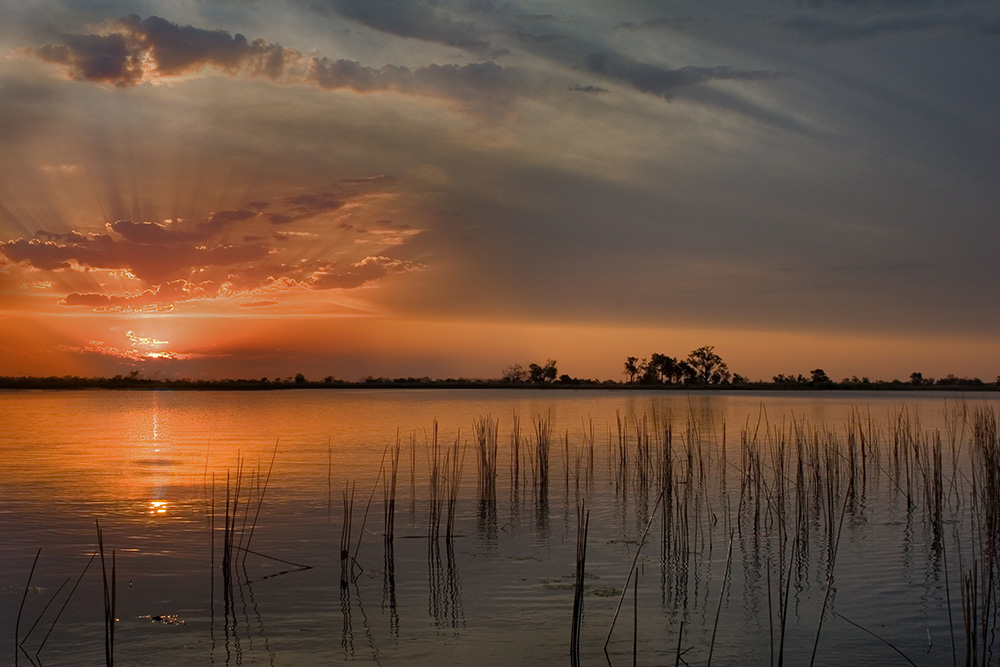 Sonnenuntergang im Moremi NP