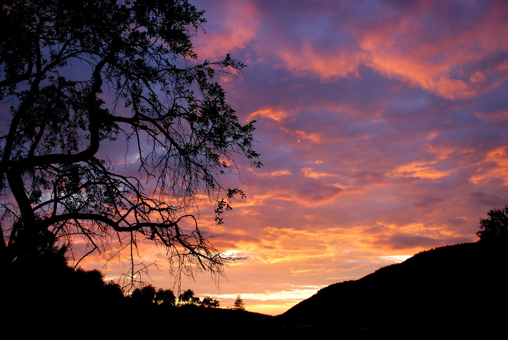 Sonnenuntergang im Moseltal