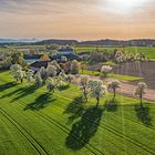 Sonnenuntergang im Mostobstland