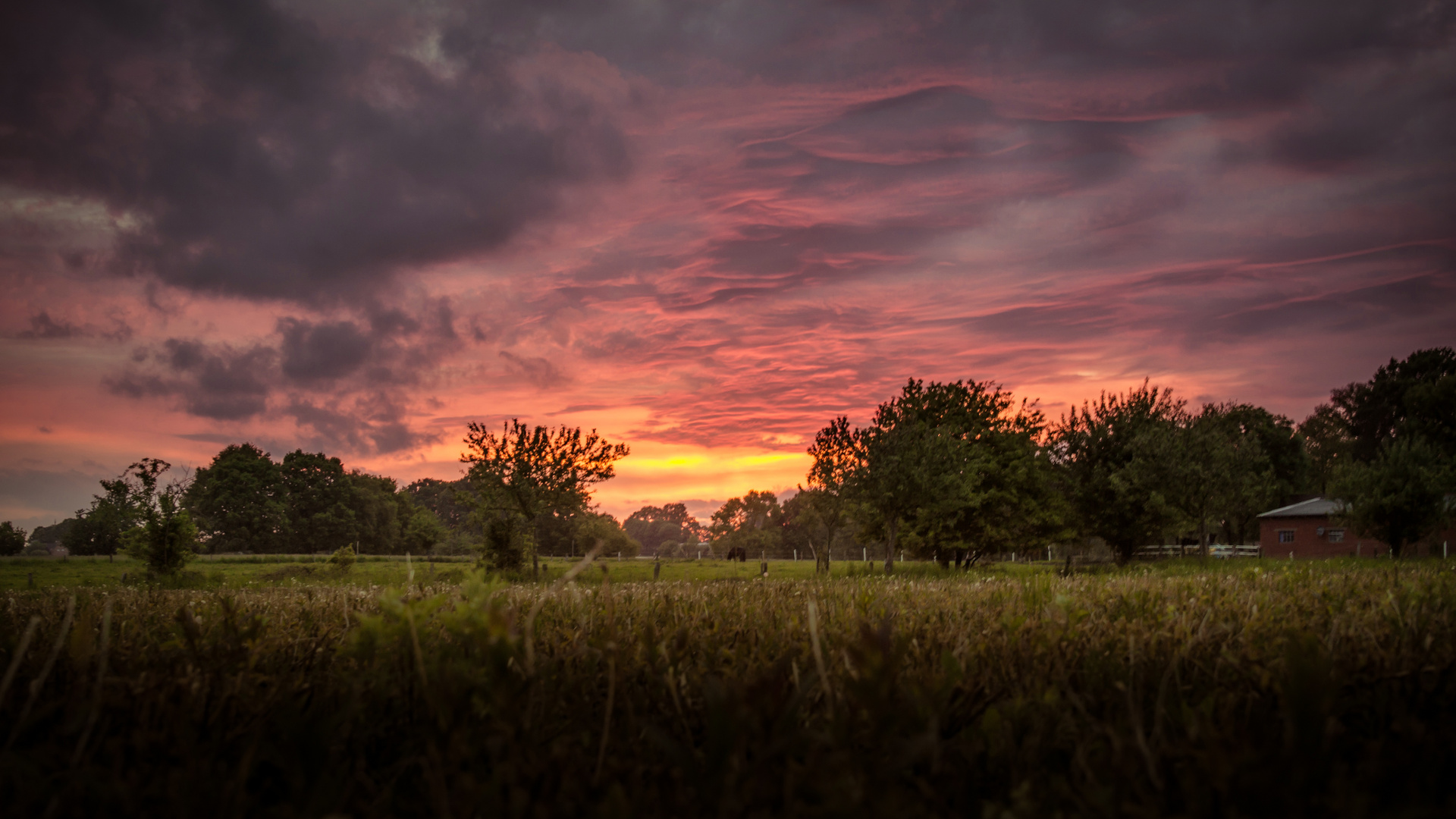 Sonnenuntergang im Münsterland