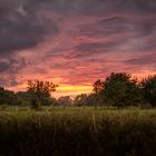 Sonnenuntergang im Münsterland