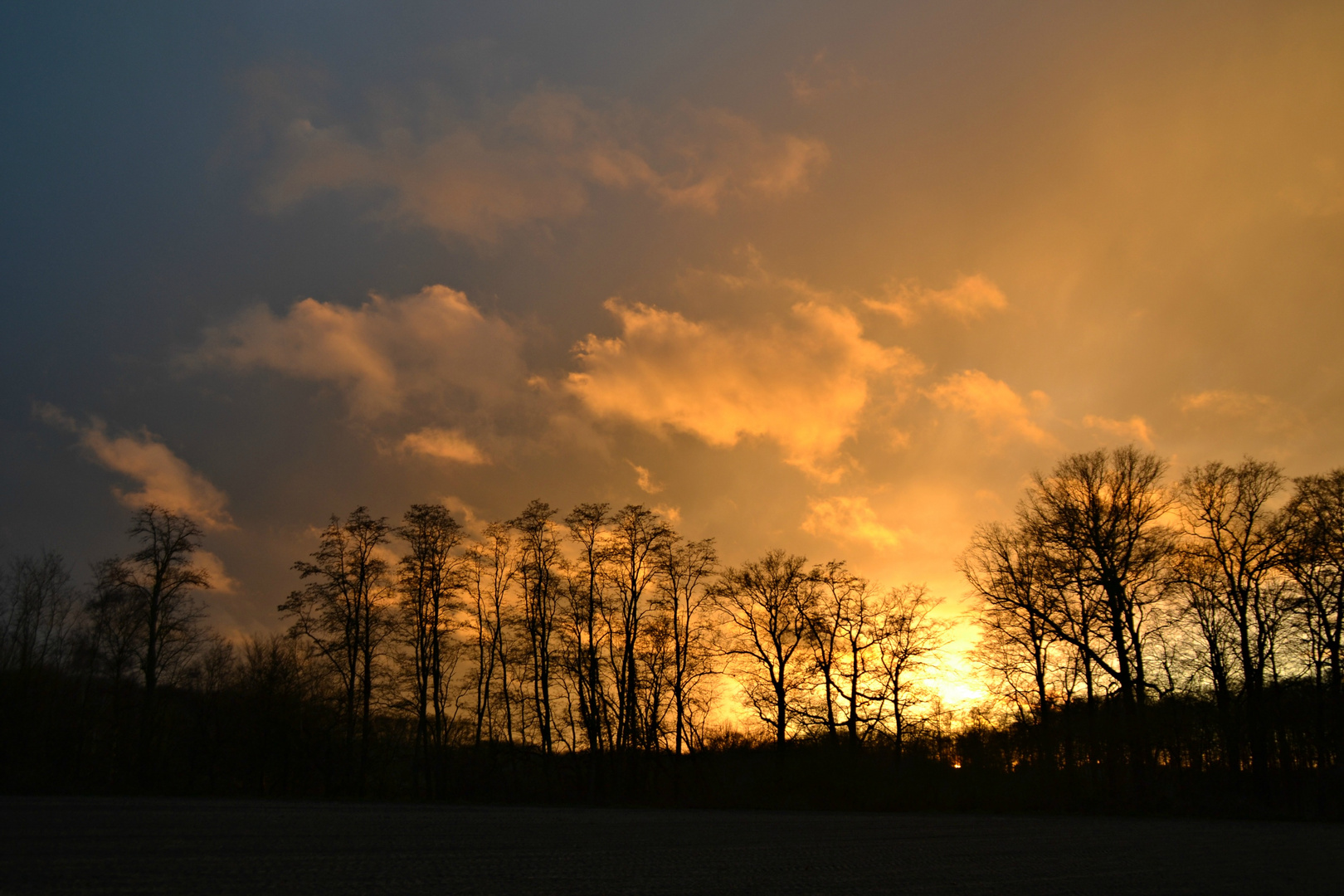 Sonnenuntergang im Münsterland