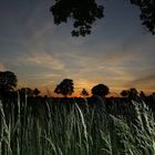 Sonnenuntergang im Münsterland