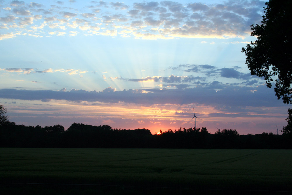 Sonnenuntergang im Münsterland