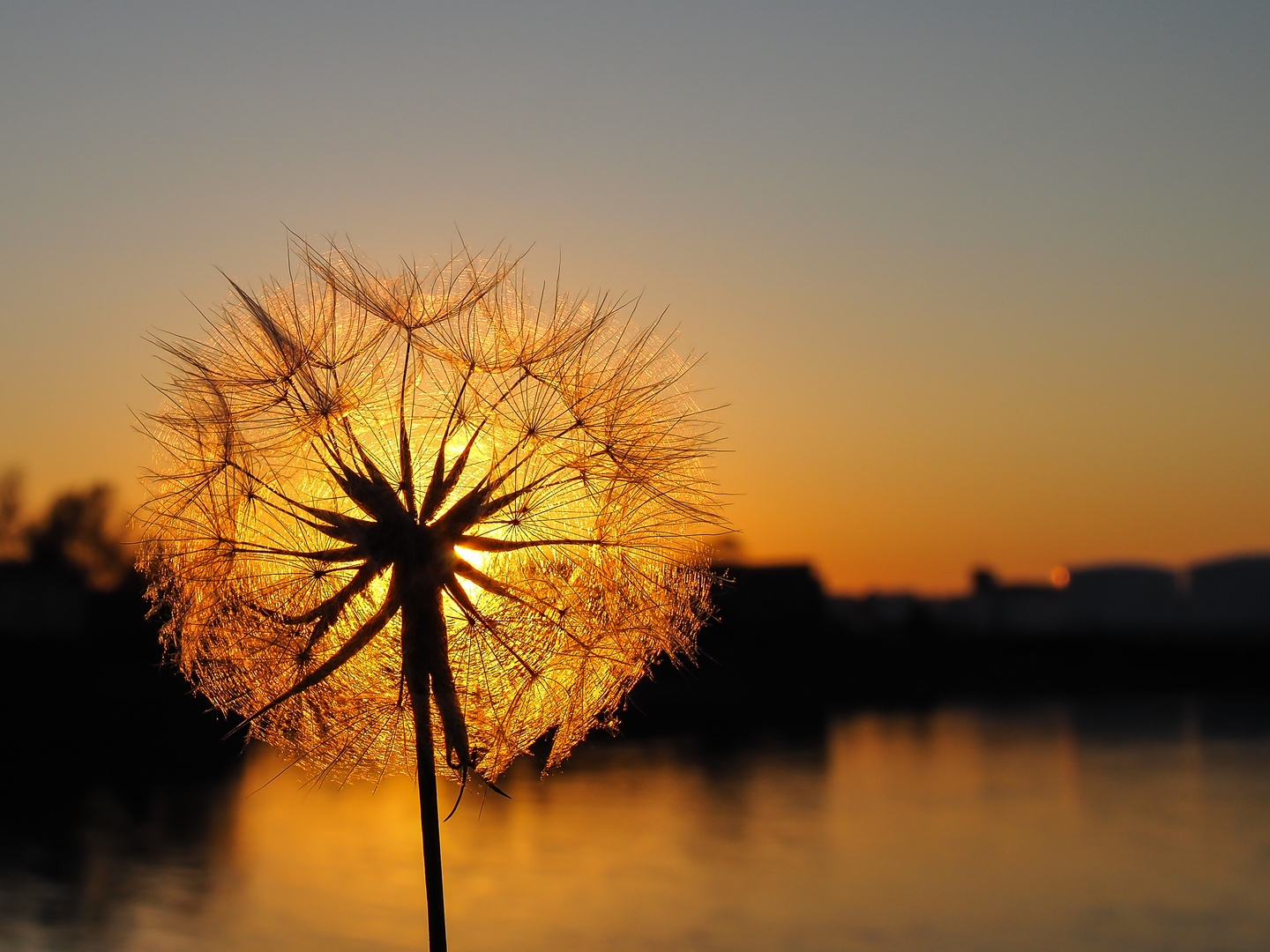 Sonnenuntergang im Mundenheimer Altrheinhafen