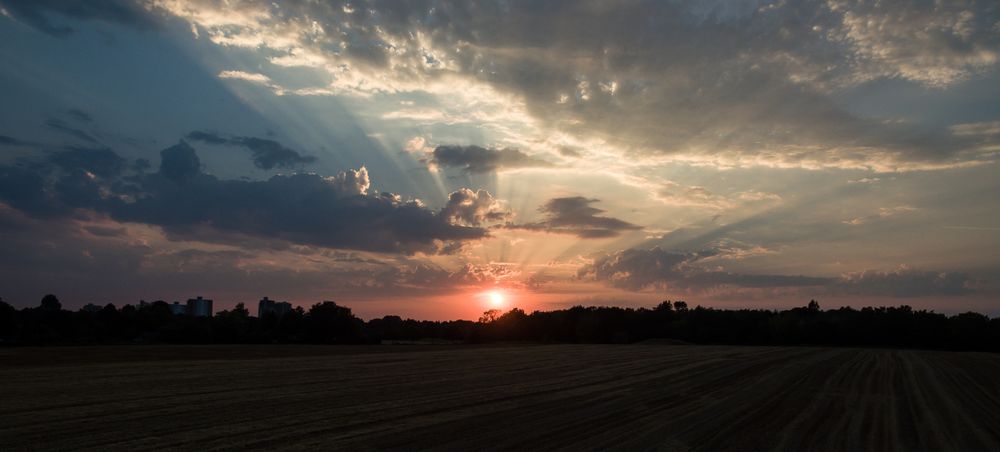 Sonnenuntergang im MV/Berlin