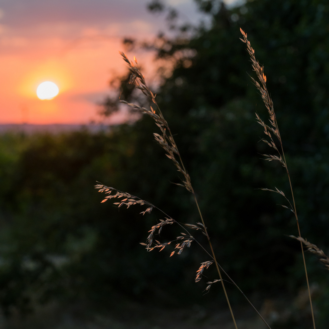 Sonnenuntergang im Naheland 15.06. 2023 II