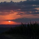Sonnenuntergang im Naheland 15.06. 2023 III