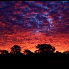 Sonnenuntergang im Namib Naukluft N.P.