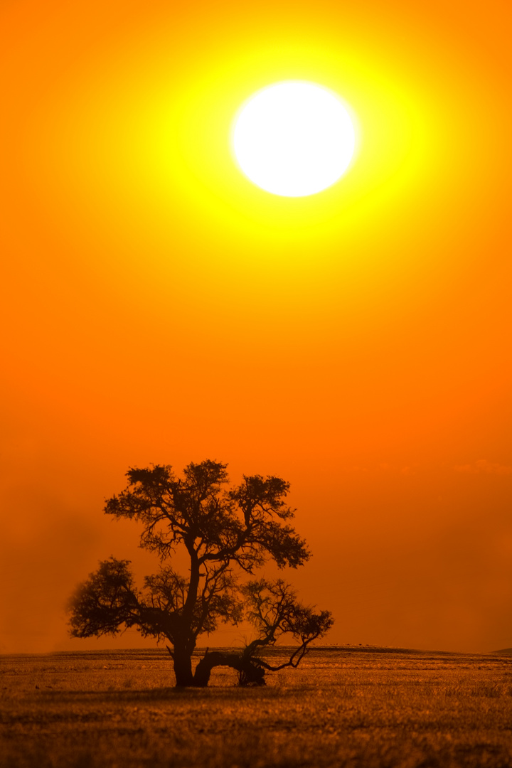 Sonnenuntergang im Namib-Naukluft NP