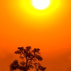 Sonnenuntergang im Namib-Naukluft NP