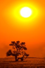 Sonnenuntergang im Namib-Naukluft NP