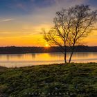 Sonnenuntergang im Nationalpark De Maasduinen