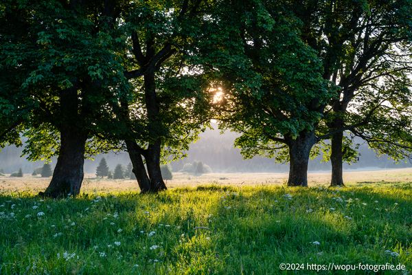 Sonnenuntergang im Nationalpark Sumava